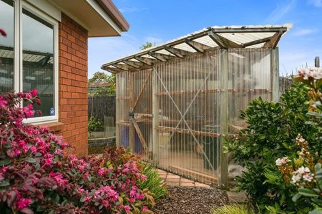 Photo of property in 9b Cedar Crescent, Matamata, 3400