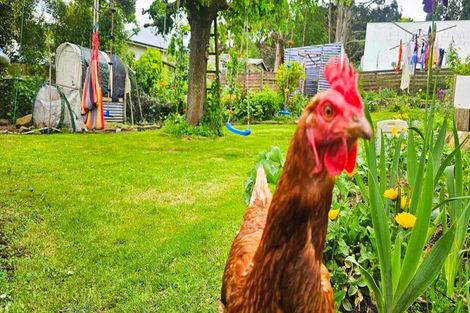 Photo of property in 19 Dalrymple Street, Pine Hill, Dunedin, 9010