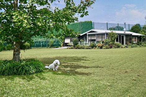 Photo of property in 3 Donelle Place, Te Puke, 3119