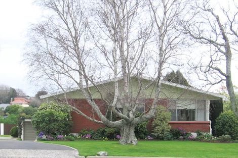 Photo of property in 41 Andrew Place, Otumoetai, Tauranga, 3110