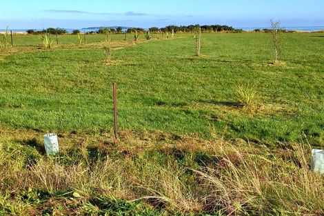 Photo of property in 25 Fox Moth Drive, Haast, 7886