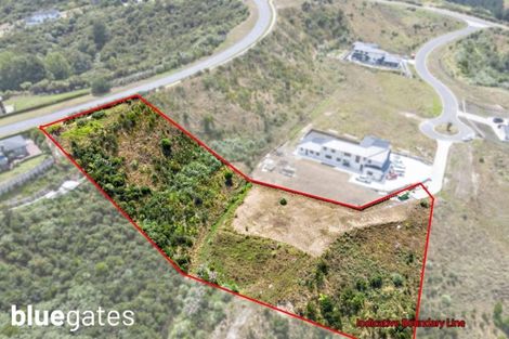 Photo of property in 19 Kanuka Road, Hobsonville, Auckland, 0616