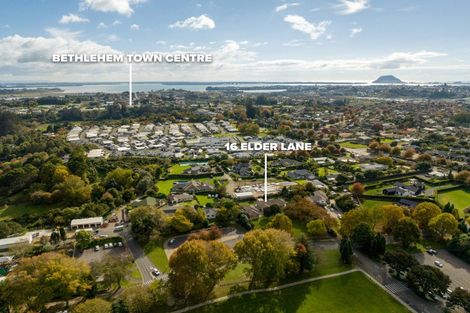 Photo of property in 16 Elder Lane, Bethlehem, Tauranga, 3110