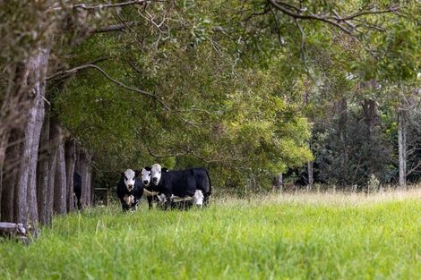 Photo of property in 71 Jones Road, Tawharanui Peninsula, Warkworth, 0986
