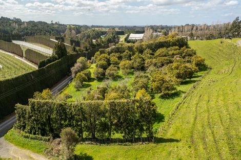 Photo of property in 231 Walford Road, Aongatete, Katikati, 3181