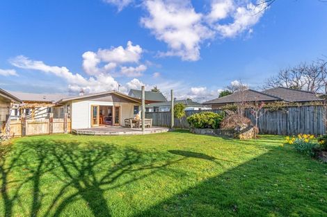 Photo of property in 49 Knowles Street, Terrace End, Palmerston North, 4410