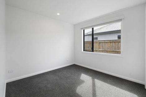 Photo of property in 17c Brightwater Terrace, Terrace End, Palmerston North, 4410