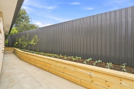 Photo of property in 13a Jackson Street, College Estate, Wanganui, 4500