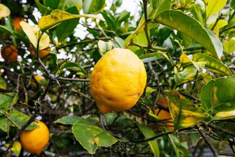 Photo of property in 28 Henare Street, West End, Palmerston North, 4412