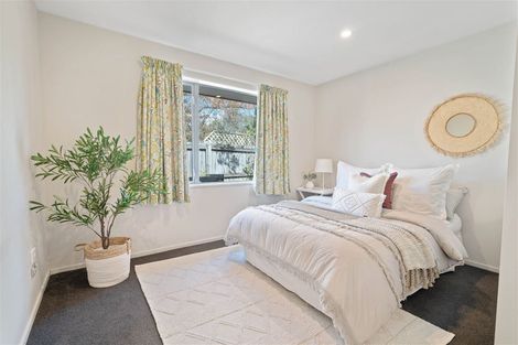 Photo of property in 5 Spring Grove Street, Spreydon, Christchurch, 8024