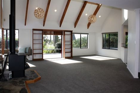 Photo of property in 102 Tangiteroria Lane, Pauanui, Hikuai, 3579