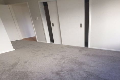 Photo of property in 15 Quattro Avenue, Flat Bush, Auckland, 2019