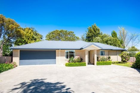 Photo of property in 164b Budge Street, Riversdale, Blenheim, 7201