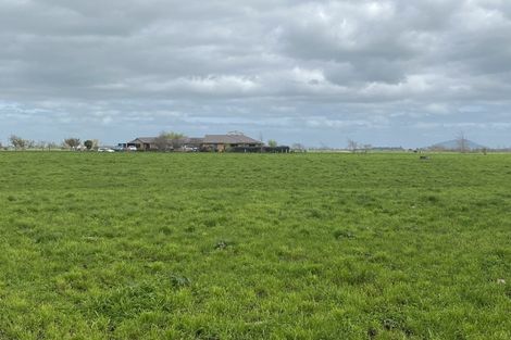 Photo of property in 599 Wallace Road, Ohaupo, Cambridge, 3495