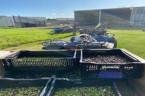 Photo of property in 478 Hihi Road, Hihi, Mangonui, 0494