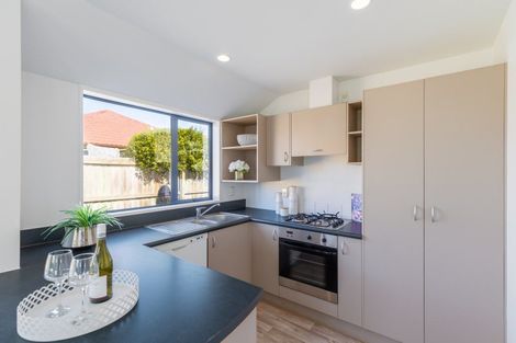 Photo of property in 17 Ballymena Drive, Belfast, Christchurch, 8051