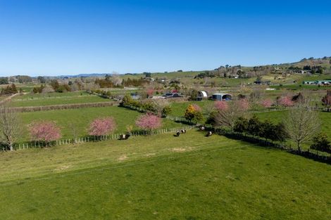 Photo of property in 101 Ormsby Road, Pirongia, Te Awamutu, 3876