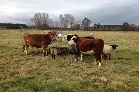 Photo of property in 81 Turners Road, Ouruhia, Christchurch, 8083