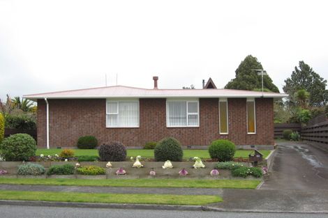 Photo of property in 53 Manu Crescent, Upper Vogeltown, New Plymouth, 4310