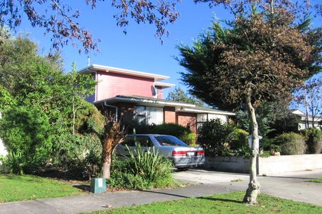 Photo of property in 19 Moyne Avenue, Milson, Palmerston North, 4414