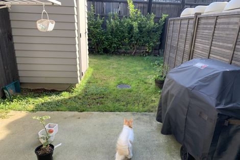 Photo of property in 24 Spotted Dove Road, Hobsonville, Auckland, 0616