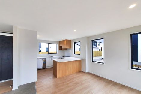 Photo of property in 60c Olliviers Road, Phillipstown, Christchurch, 8011