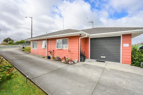 Photo of property in 48 Botanical Road, Takaro, Palmerston North, 4412