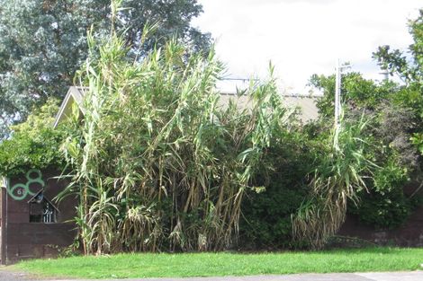 Photo of property in 68 Bruce Mclaren Road, Henderson, Auckland, 0612