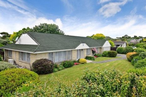 Photo of property in 3 Mcmeekan Avenue, Chartwell, Hamilton, 3210