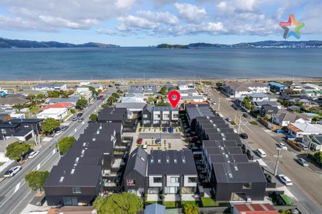 Photo of property in 13d Cuba Street, Petone, Lower Hutt, 5012