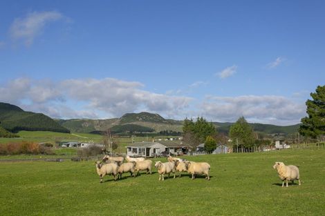 Photo of property in 180 White Road, Broadlands, Reporoa, 3081