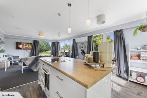 Photo of property in 107 Main Road, Tirau, 3410