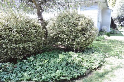 Photo of property in 4780 State Highway 29, Matamata, 3473