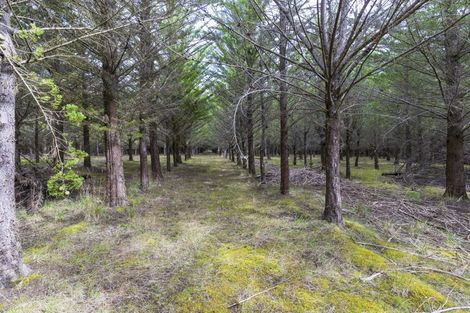 Photo of property in 243 Worlingham Road, Eyrewell, West Eyreton, 7476