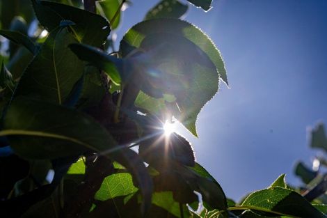 Photo of property in 2 Millie Place, Huntington, Hamilton, 3210