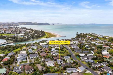 Photo of property in 45 Amorino Drive, Red Beach, 0932