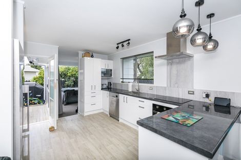 Photo of property in 392a Kahikatea Drive, Dinsdale, Hamilton, 3204