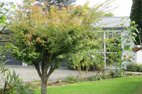 Photo of property in 138 Talbot Street, Geraldine, 7930