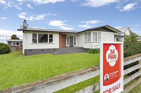 Photo of property in 15 Fox Street, Woodville, 4920