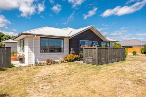 Photo of property in 24 Barry Curtis Place, Levin, 5510