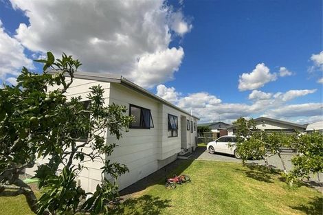 Photo of property in 31 Insley Street, Mangawhai, 0505