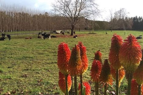 Photo of property in 175 Hereford Road, Oropi, Tauranga, 3173