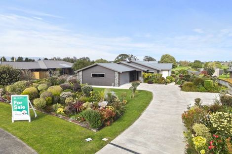 Photo of property in 16 Kilsby Place, Levin, 5510