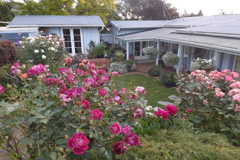 Photo of property in 83 Hill Street, Richmond, 7020