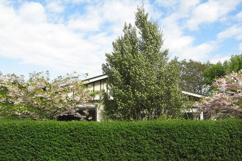 Photo of property in 7 Pine Avenue, Waikuku Beach, 7473