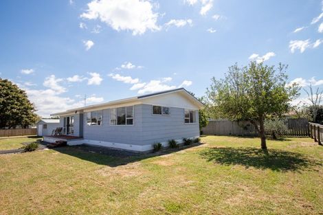 Photo of property in 1 Mcclean Place, Ngatea, 3503