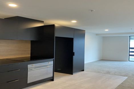 Photo of property in Pinnacle On Victoria, 1301/160 Victoria Street, Te Aro, Wellington, 6011