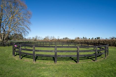 Photo of property in 146 French Pass Road, Cambridge, 3496