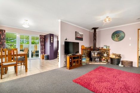 Photo of property in 123 Letts Gully Road, Alexandra, 9393