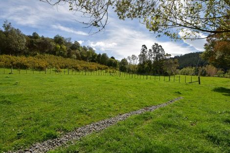 Photo of property in 71 Hoeke Road, Carrington, Carterton, 5791